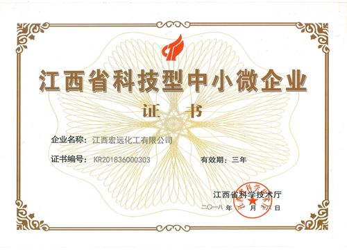 科技型中小微企业