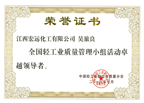 全国轻工业质量管理小组卓越领导者